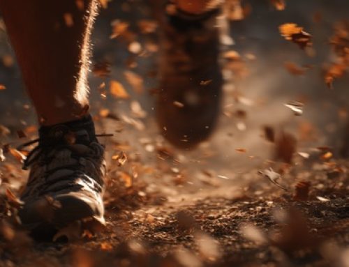 Best Trail Running Shoes for Autumn — What to Wear When the Rain Returns